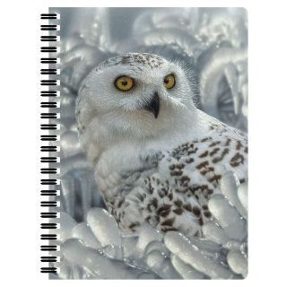 Obrázek z Notes 3D 14x21cm - sněžná sova (10) 